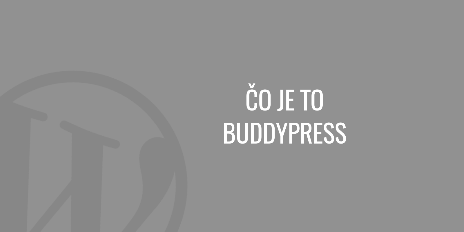 什么是 BuddyPress